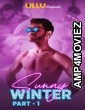 Download Sunny Winter Part 1 (2020) UNRATED Hindi Season 1 Complete Show