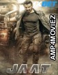 Jaat (2025) Hindi Movie