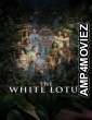 The White Lotus (2025) Season 3 EP06 Hindi Dubbed Web Series